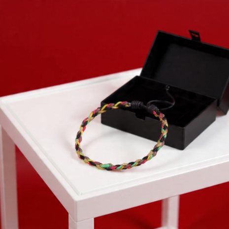 Multicolor Braided Cord Bracelet By 2wist Designs